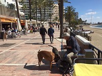 Boulevard
