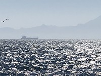 De kust van Afrika.