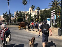 Malaga.
