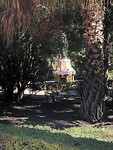Park midden in de stad.