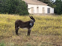 Één van mijn favoriete dieren.