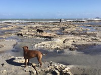 Wandelen op de landtong bij San Javier.