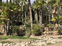 Park in Novelda.