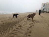 Strandwandeling in de regen.
