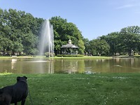 Park in Apeldoorn.