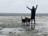 Wadlopen
