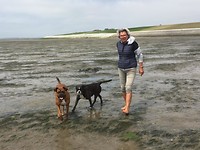 Wadlopen.