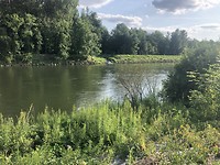 De Donau bij Günzburg.
