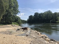 Langs de Donau.