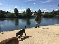 Langs de Donau.