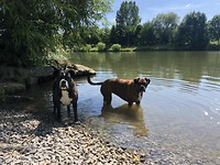 Drinken in de Neckar is ook lekker.