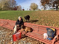 Even pauze in het park.