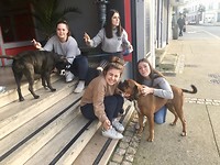 Xavi en Mowgli maken overal vrienden.