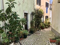 Straatje in Monchique.