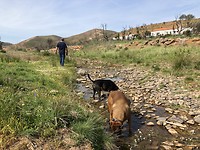 Wandeling in Silves.
