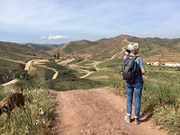 Silves.