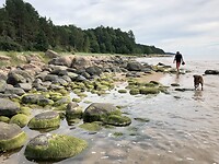 Strandwandeling.