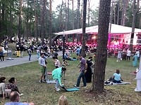 Open lucht concert in het park.