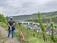 Tussen de druiven 🍇