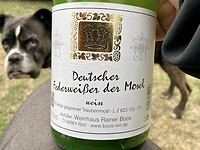 Hij is er weer ! 😋 Federweisser