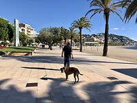 Boulevard Santa Margarita