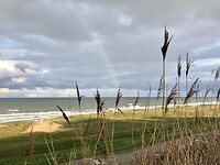 Regenboog 🌈