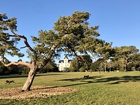 Park in La Rochelle.