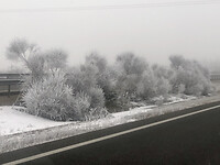 Winterse berm.