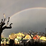 Regenboog boven de camping.