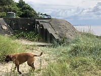 Bunker langs de kust.