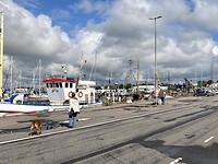 Haven Bua