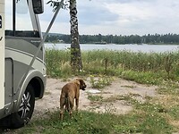 Uitzicht op de camperplaats.