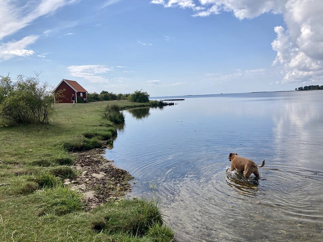 Natuurgebied Söderåkra