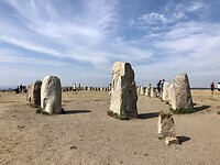 Alles Stenar