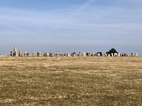 Alles Stenar