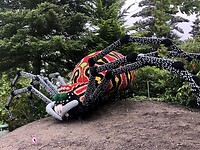 Legoland park.
