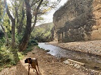 Camino Natural.