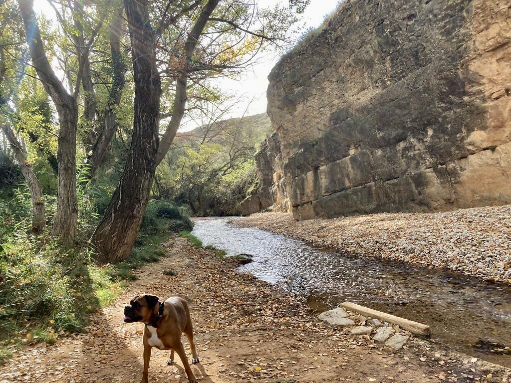 Camino Natural.