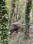 Camino natural