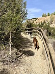 Camino natural