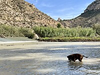 Mowgli vind het wel fijn hier.