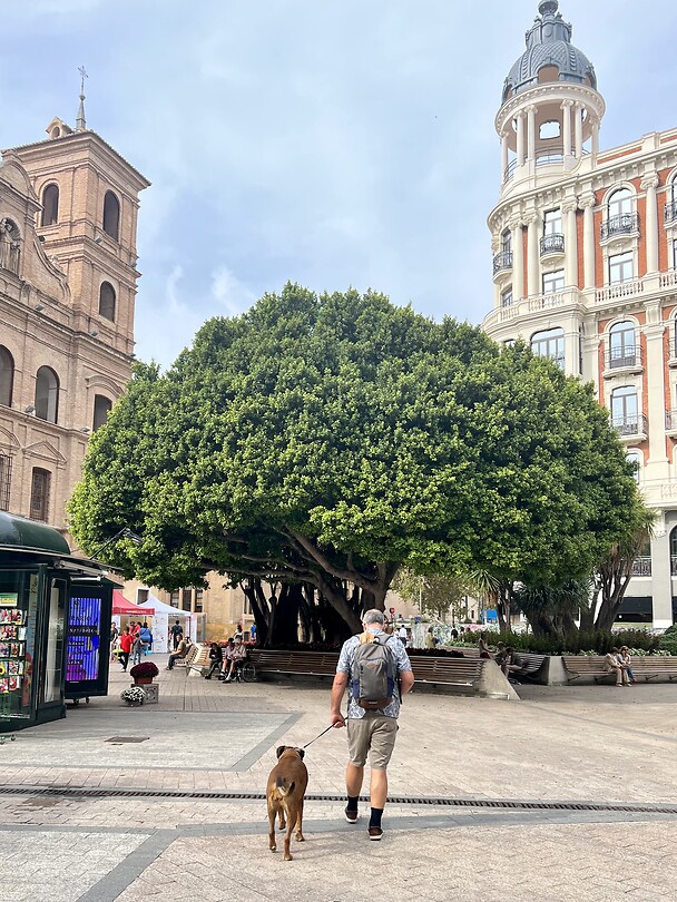 In Murcia
