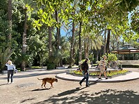 La palmera