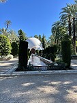 La palmera