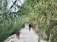 Wandeling El Palomar
