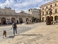 Plaza Major Castellon