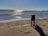 Strand van Grao.