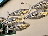 Aan een muur, helemaal van lege sardine blikjes gemaakt!