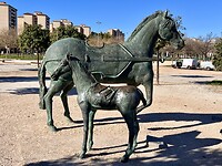 “De muzikale paarden”.