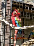 Zoo Córdoba